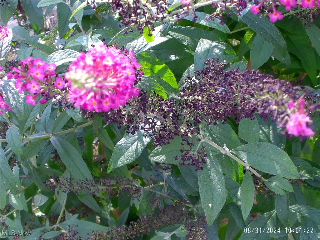 Fairview 02 - Residential