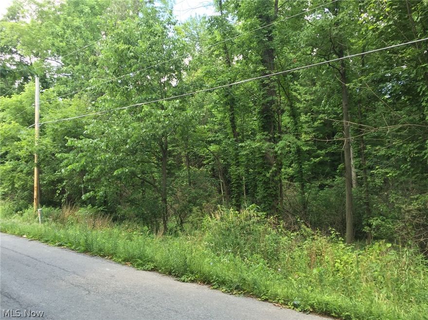 Looking for that perfect place to build your dream home...well here it is...3 acres of a beautiful wooded lot! This lot offers privacy but only minutes away from Brookfield Center offering stores, restaurants and freeway access !