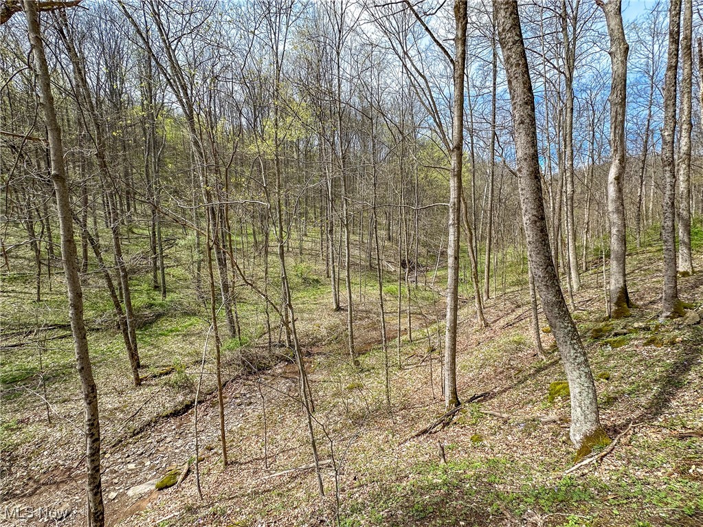 34108 Edwina Road, Lewisville, Ohio image 31