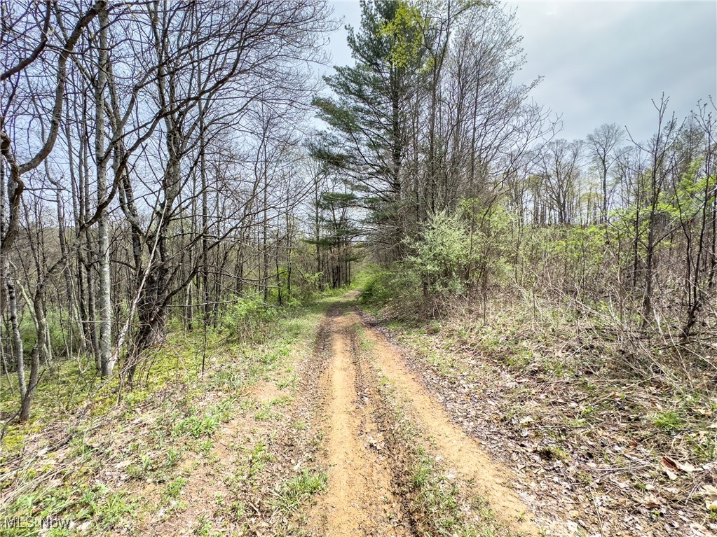 34108 Edwina Road, Lewisville, Ohio image 16