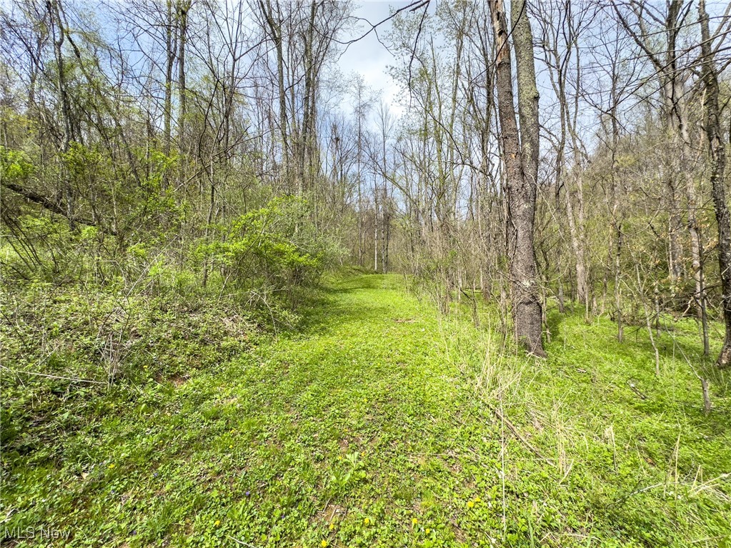 34108 Edwina Road, Lewisville, Ohio image 41