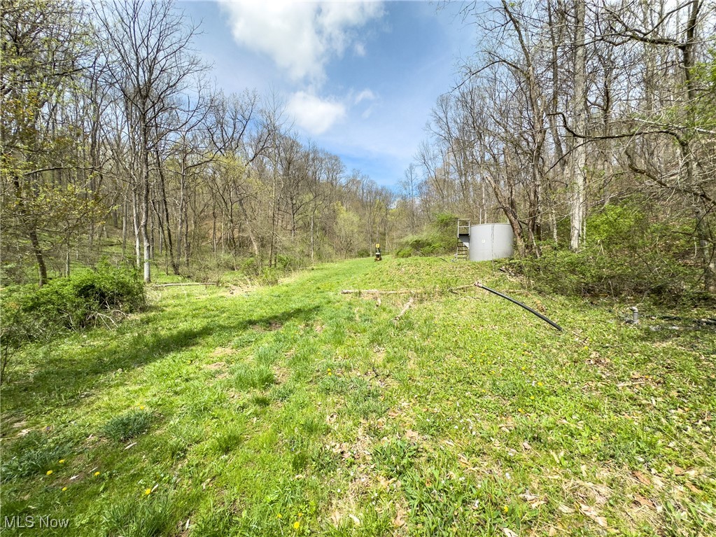 34108 Edwina Road, Lewisville, Ohio image 32