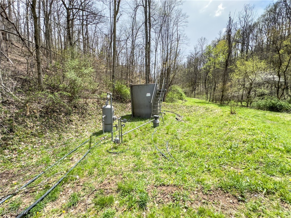 34108 Edwina Road, Lewisville, Ohio image 33