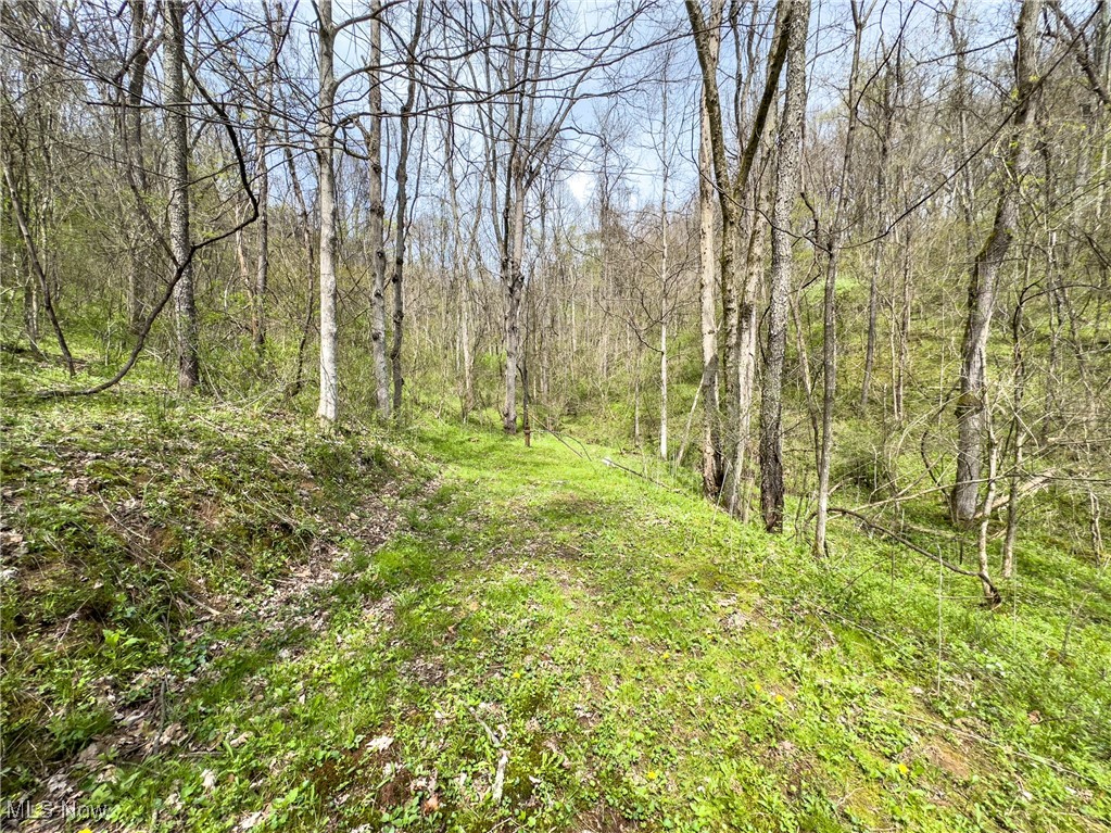 34108 Edwina Road, Lewisville, Ohio image 42