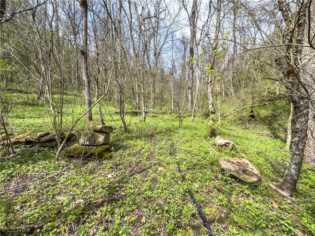 34108 Edwina Road, Lewisville, Ohio image 43