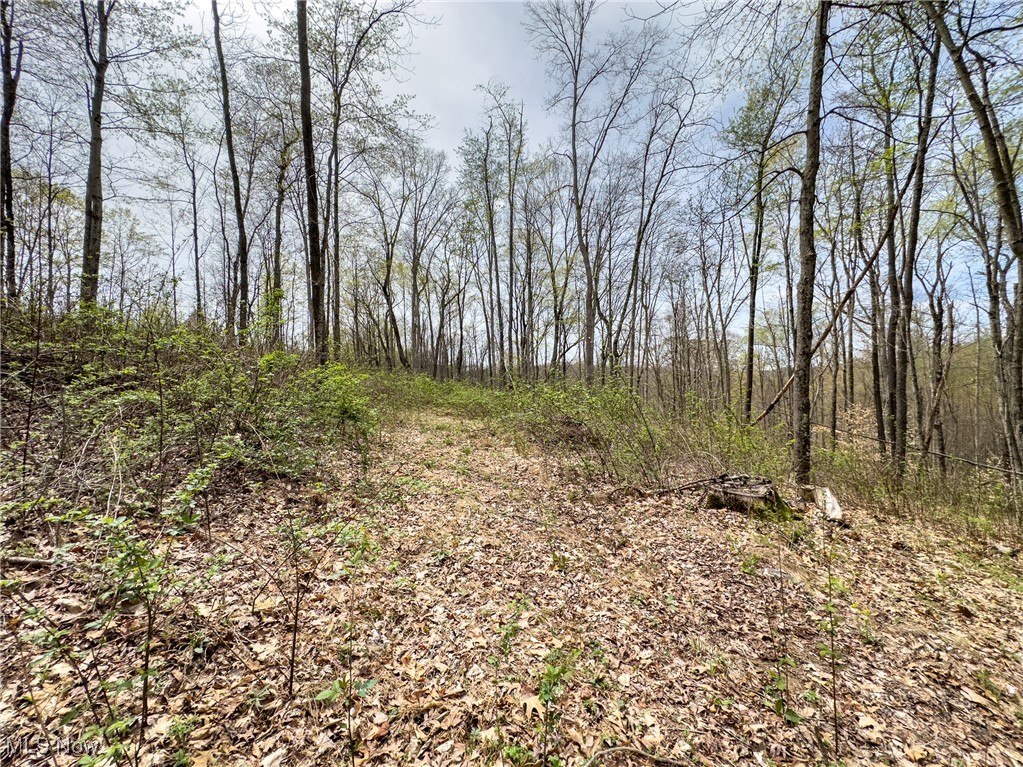34108 Edwina Road, Lewisville, Ohio image 13