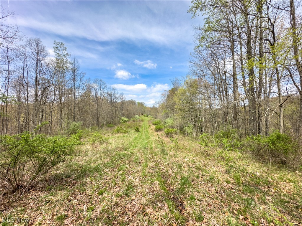 34108 Edwina Road, Lewisville, Ohio image 15