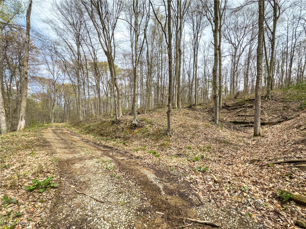 34108 Edwina Road, Lewisville, Ohio image 7