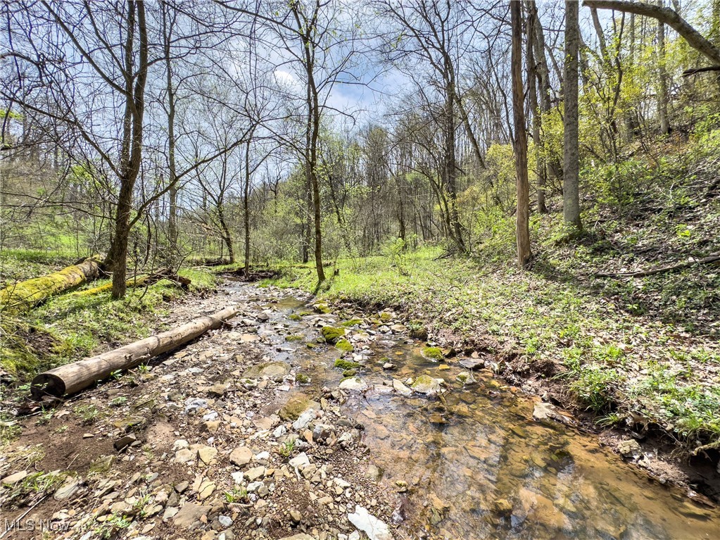 34108 Edwina Road, Lewisville, Ohio image 34