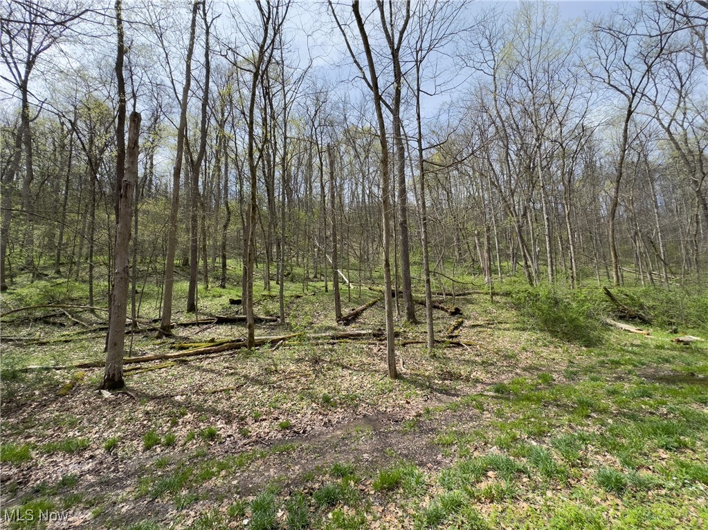 34108 Edwina Road, Lewisville, Ohio image 28