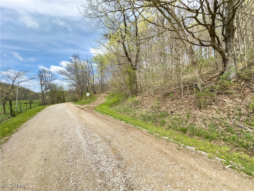 34108 Edwina Road, Lewisville, Ohio image 3