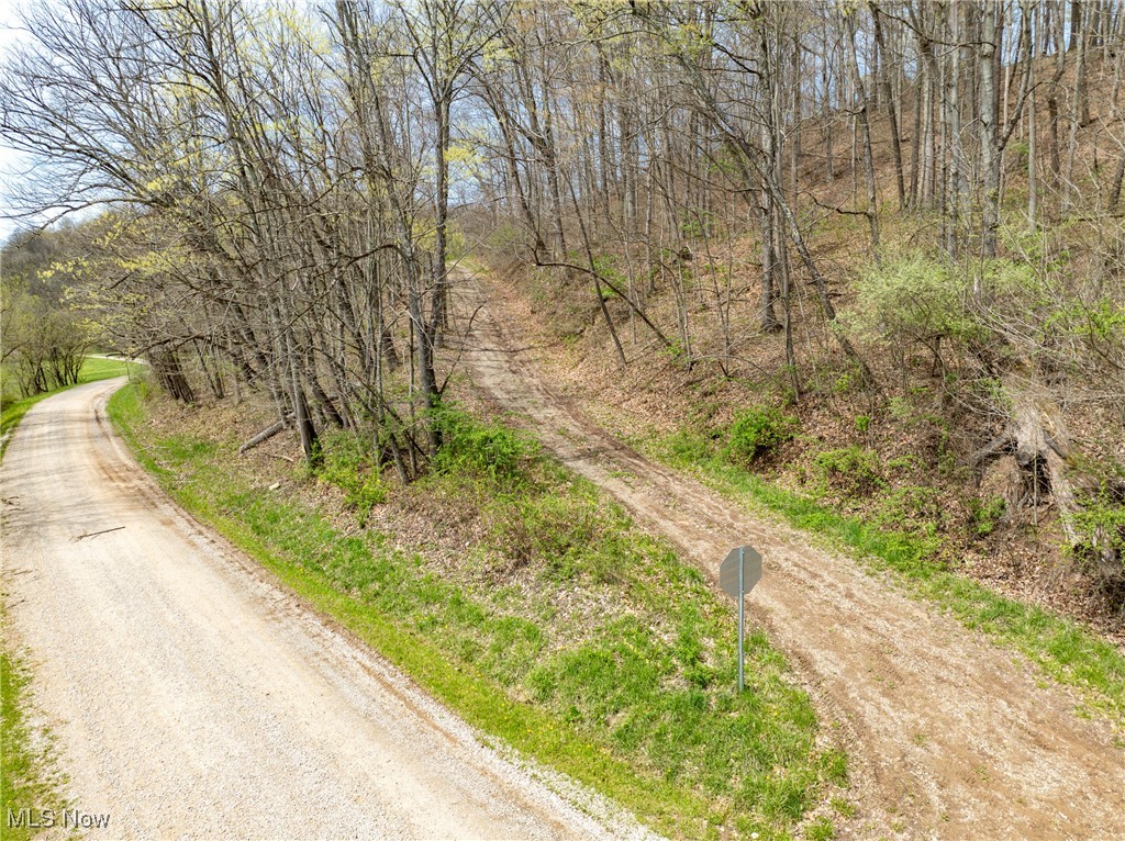 34108 Edwina Road, Lewisville, Ohio image 2