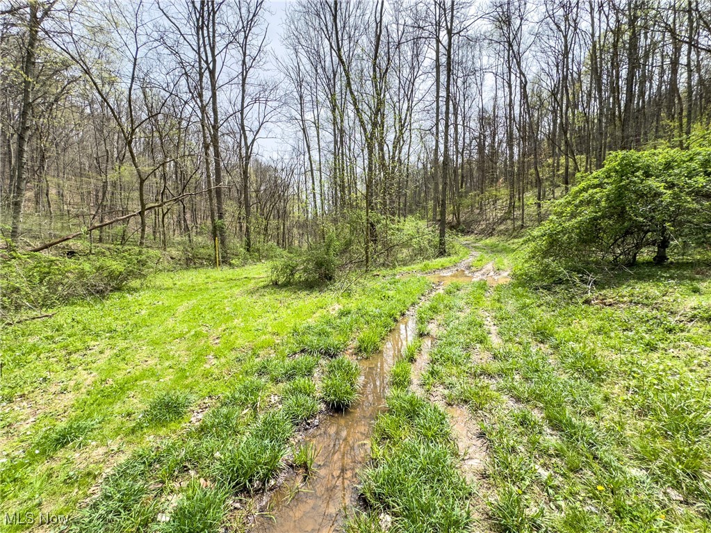 34108 Edwina Road, Lewisville, Ohio image 26
