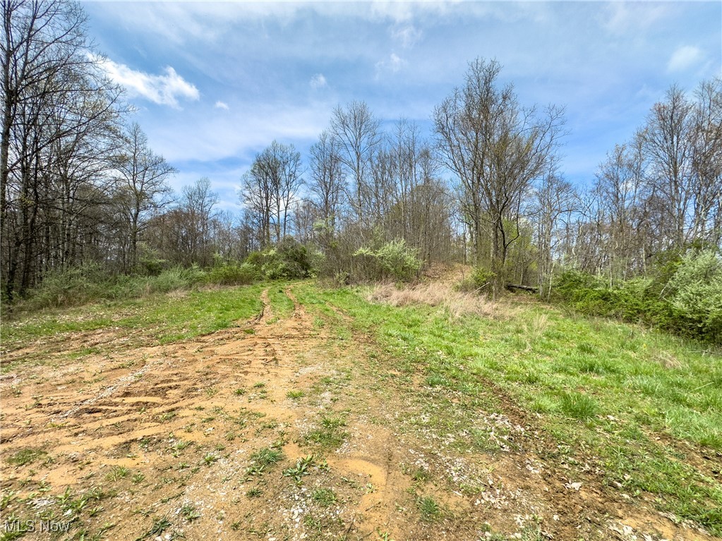 34108 Edwina Road, Lewisville, Ohio image 11