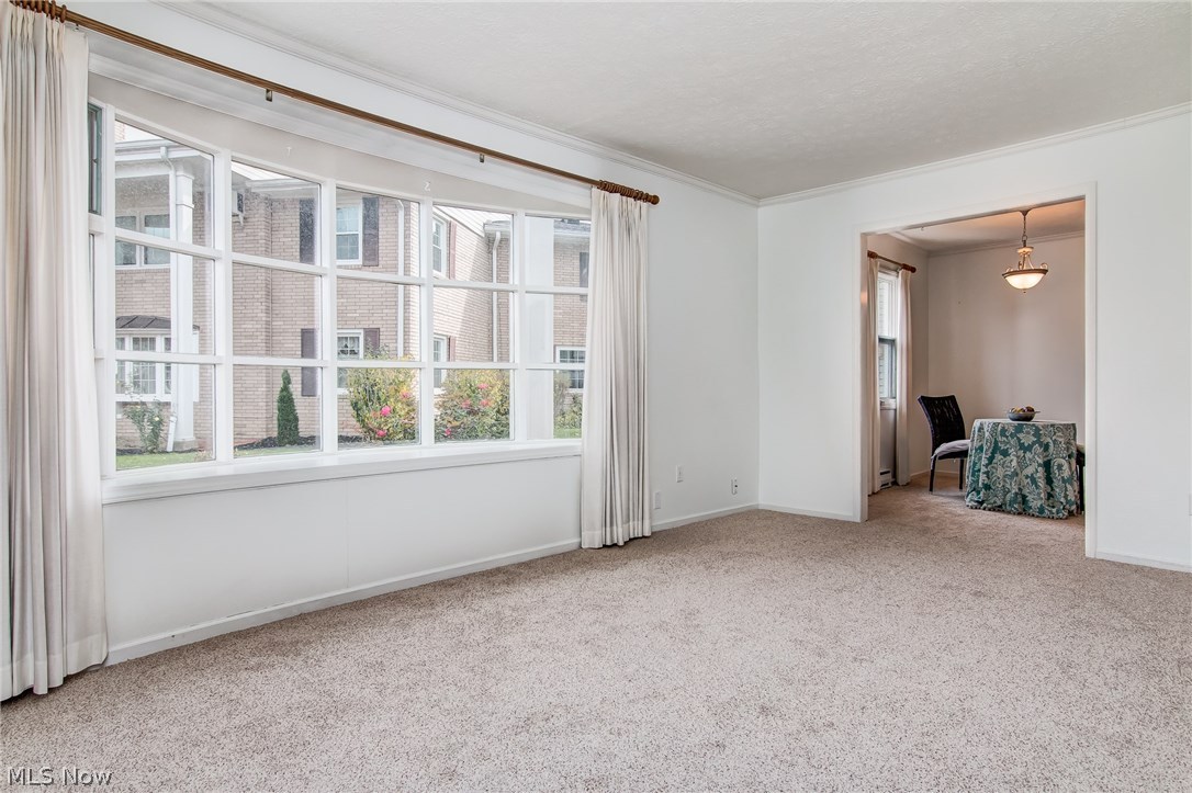 Meadowlawn Condo - Residential