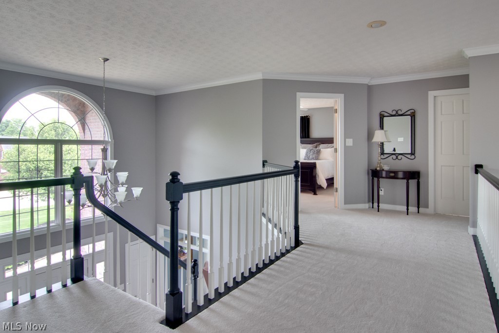 Chadds Ford Settlements - Residential