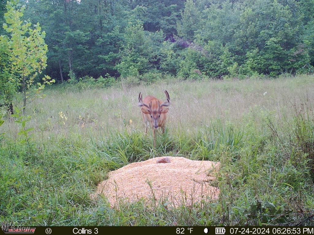 Cannelville Rd, Roseville, Ohio image 33