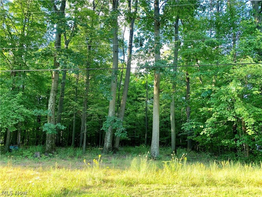 Looking for a place to build your dream home? Check out this beautiful 5 acre wooded property in secluded setting. Wooded lot for privacy. Lot size 257x845. Ready for you to build a home.  Can also be timbered. Located in Crestview School District.  Great location on dead end road.  Quick access to major roads and highways.  This 5 acre property is perfect for a new home. Take Kelly Park Road to Bonesville School Road.