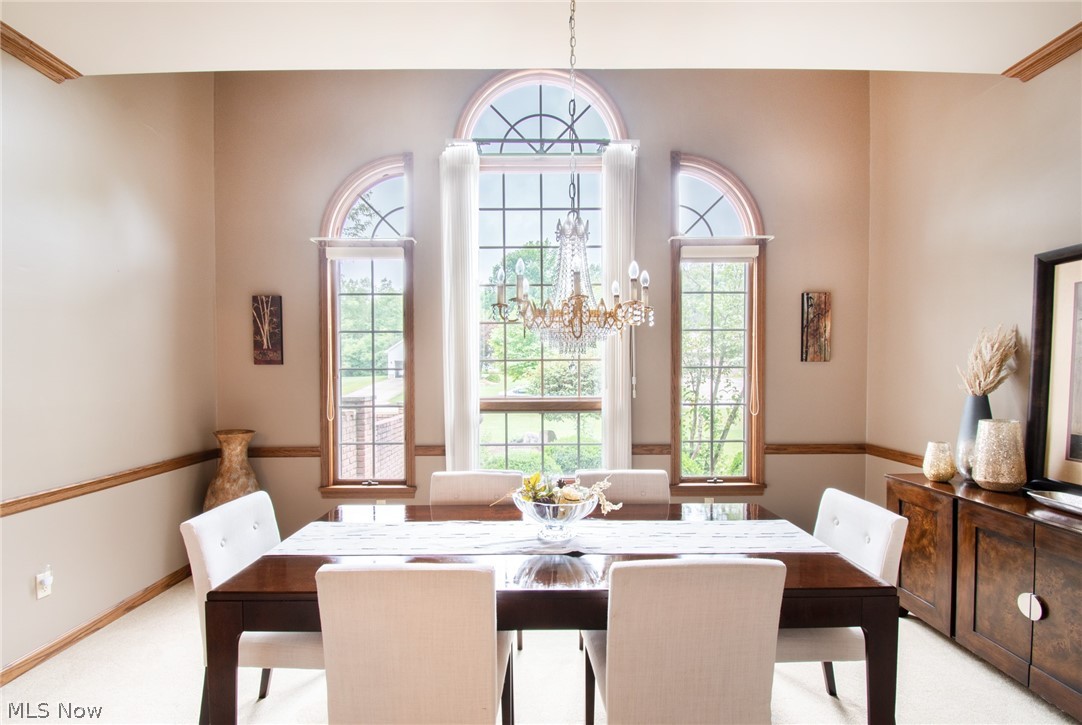 City/Canfield - Residential