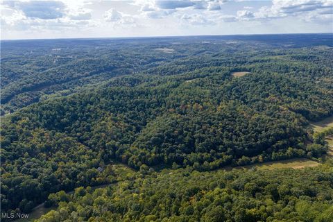 Vacant Land For Sale - 868 Township Road 278<br/> Bergholz, OH 43908