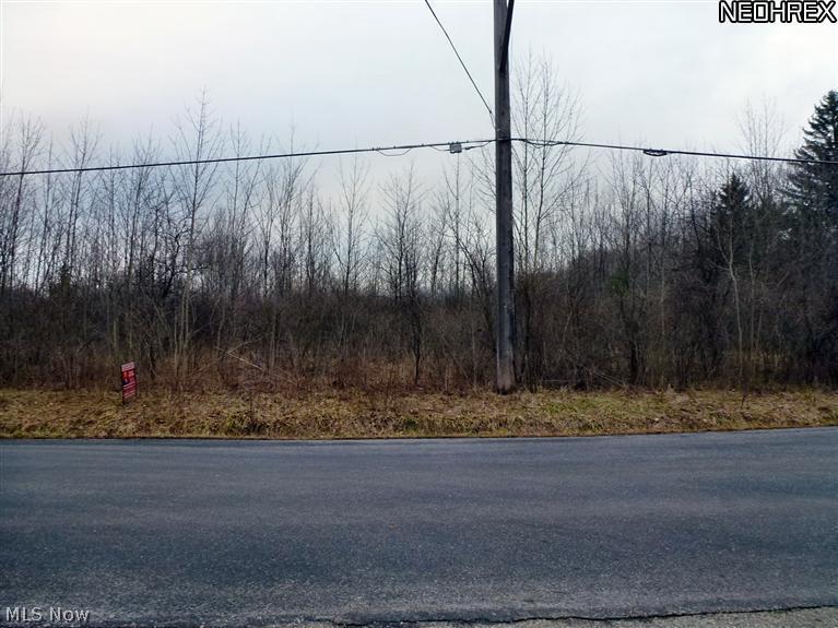 Build what you want...when you want...with any builder you choose! Zoned for Residential or Agricultural use due to lot size with NO DEED RESTRICTIONS to limit your use of the site. Soil survey completed to identify potential septic types for approval by Geauga County Health Department. Lot is 210' wide at street and 1018' deep on South side. North side goes in 250' from Snyder Road then widens by 40' to the North for total width of 250' for another 768'.