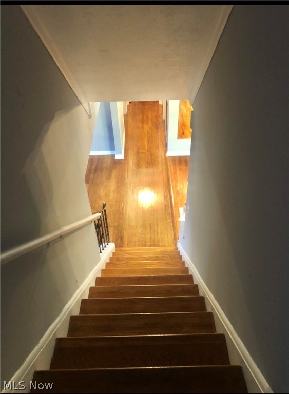 Zehman Wolf 01 - Residential