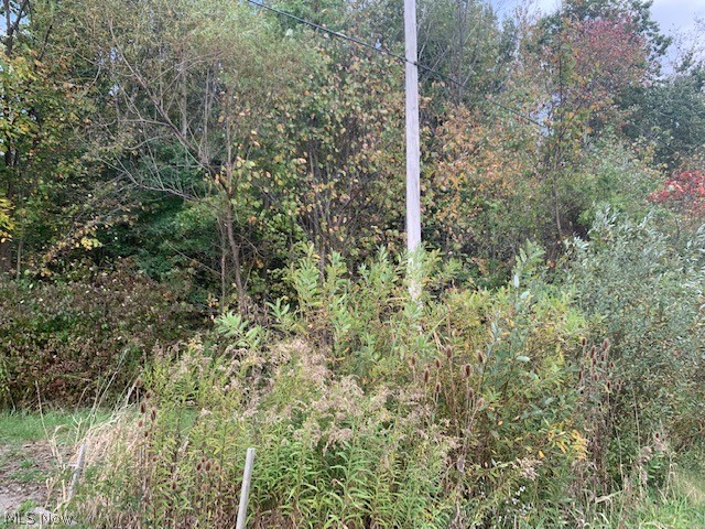 Part/Cowlesof Sec 15 - Land