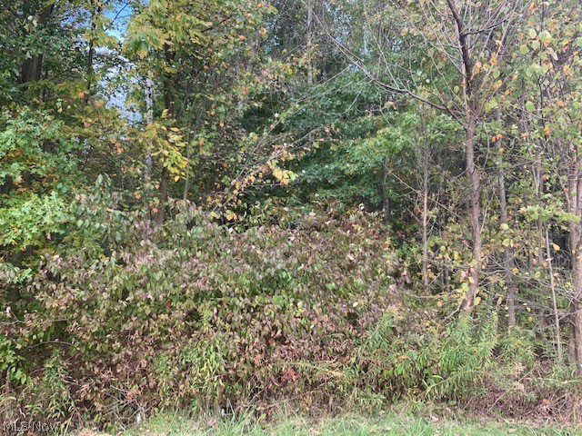 Part/Cowlesof Sec 15 - Land