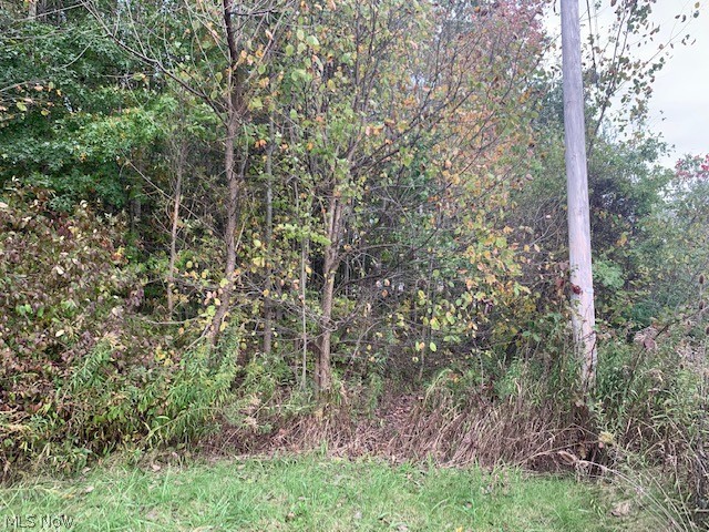 Part/Cowlesof Sec 15 - Land