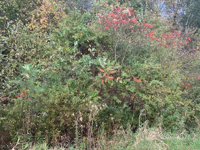 Part/Cowlesof Sec 15 - Land