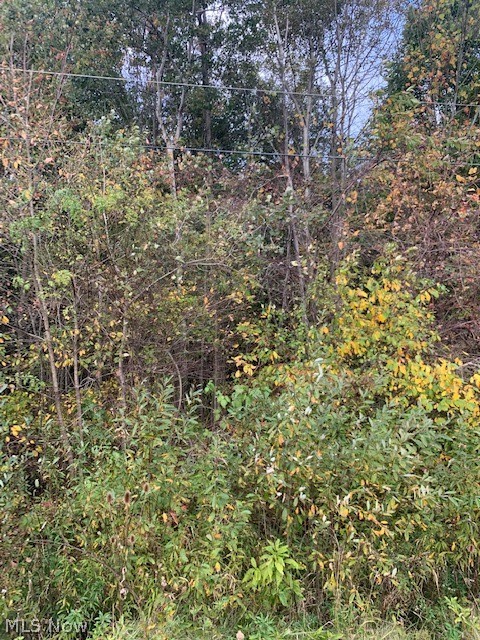 Part/Cowlesof Sec 15 - Land