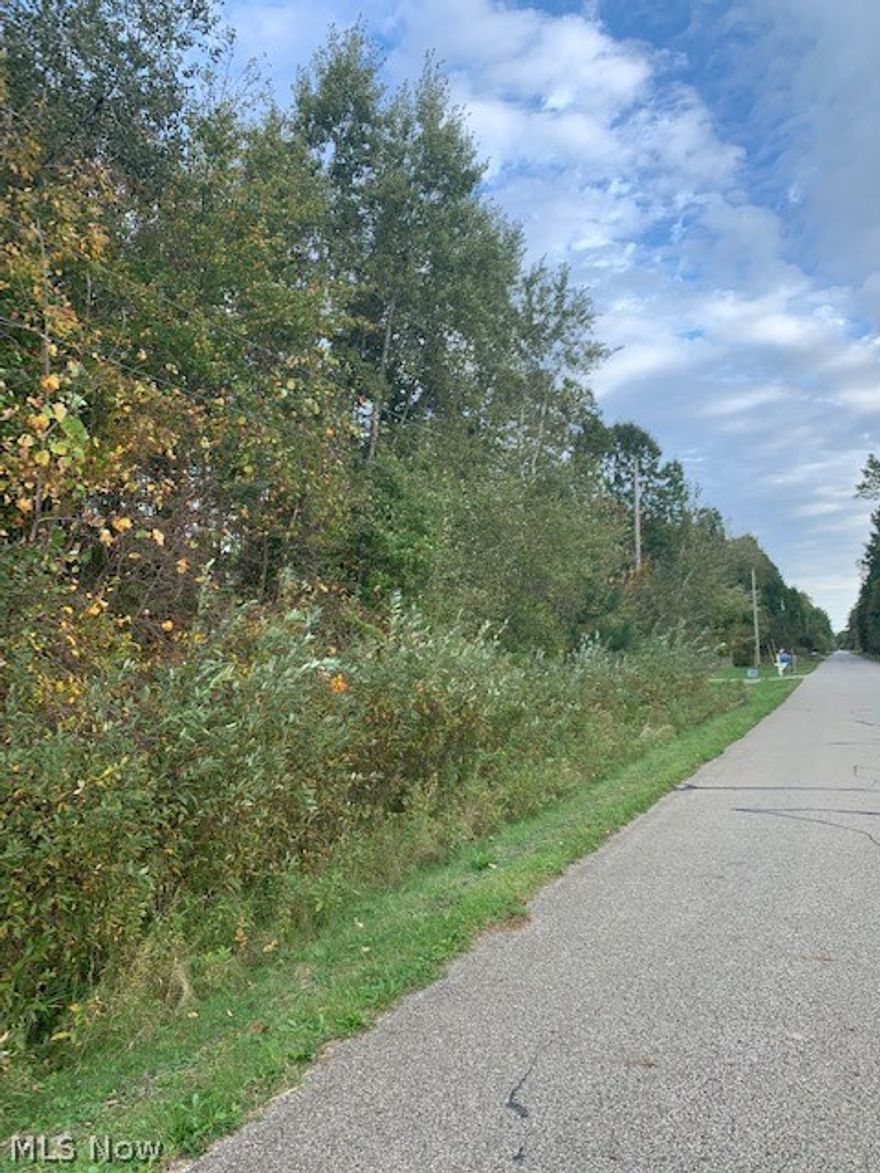 Come check out these scenic 5 acres of wooded land to build your Dream House. Property is located in Mecca Township. Maplewood school system. Lot size is 200 x 1100. Located on a secondary country road close to Mosquito Lake! No Zoning!