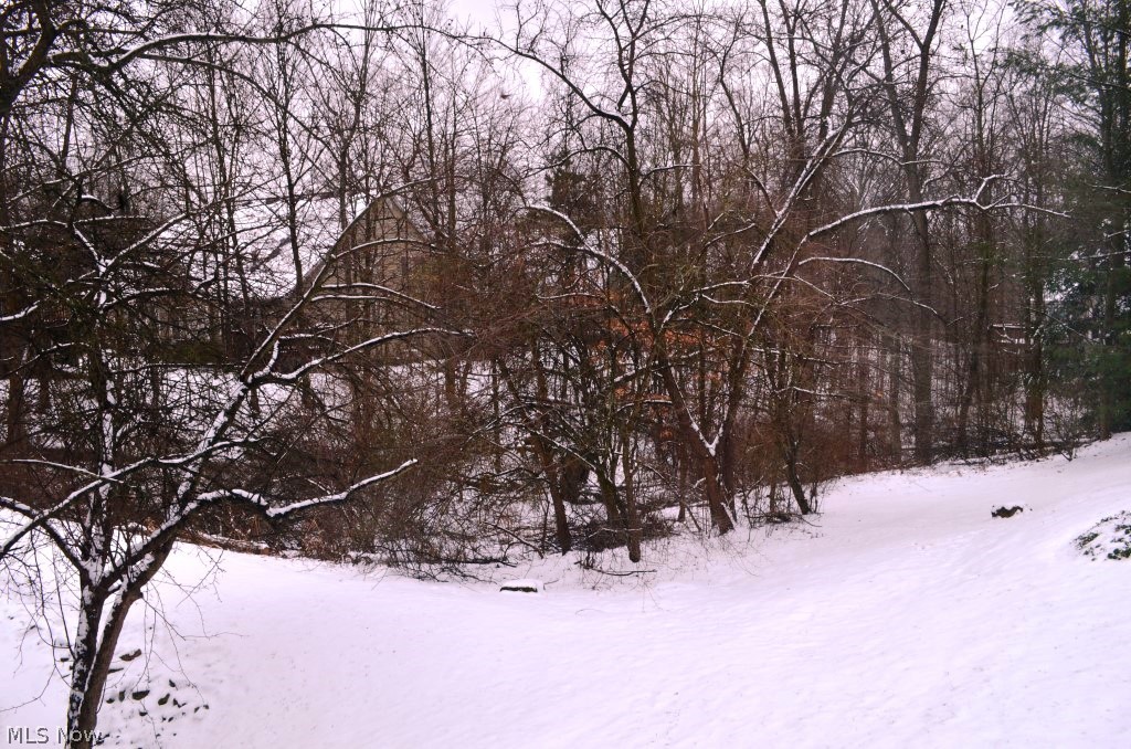 Shady Hollow Condo - Residential