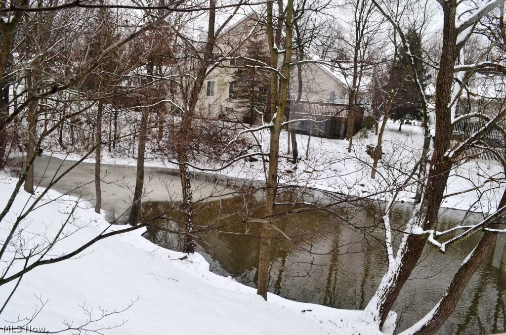 Shady Hollow Condo - Residential