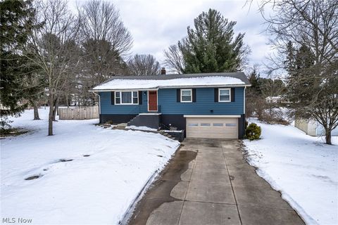 1569 Denise Drive Copley OH 44321