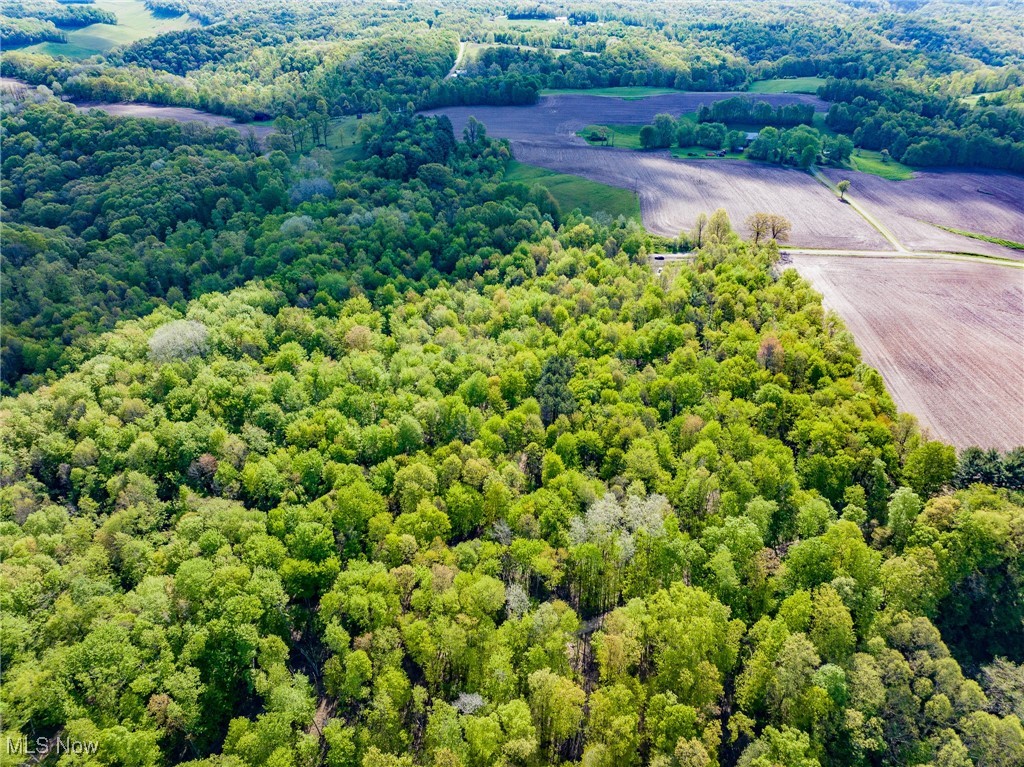 2162 Sleepy Elm Road, Newcomerstown, Ohio image 1