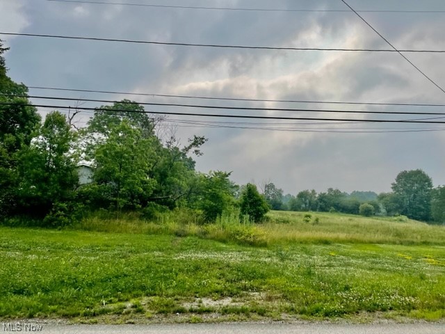Nice corner property located in the quaint village of West Farmington! Property has recently been surveyed and has been staked out. 1.23 acres. Public water and sewer is available! Great opportunity! Call today for more information!