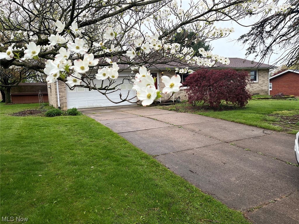 Kehls Daisy Hill - Residential