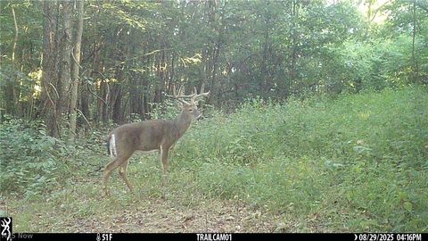 Tiny photo for Marlott Run Road, Newcomerstown, OH 43983 (MLS # 5221603)