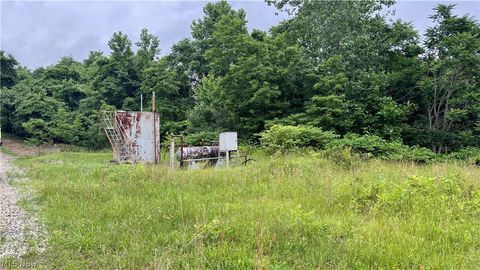 Tiny photo for Marlott Run Road, Newcomerstown, OH 43983 (MLS # 5221603)
