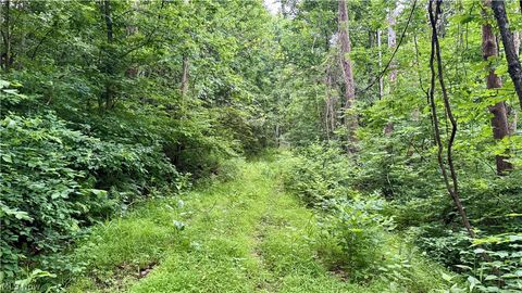 Tiny photo for Marlott Run Road, Newcomerstown, OH 43983 (MLS # 5221603)