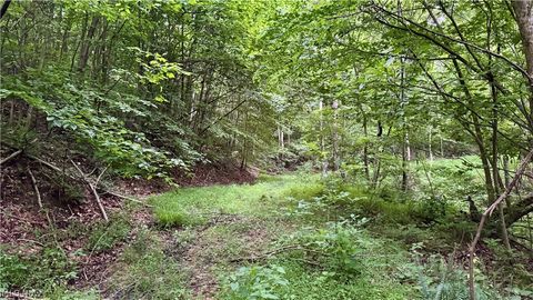 Tiny photo for Marlott Run Road, Newcomerstown, OH 43983 (MLS # 5221603)