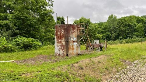 Tiny photo for Marlott Run Road, Newcomerstown, OH 43983 (MLS # 5221603)