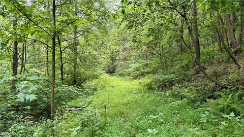 Tiny photo for Marlott Run Road, Newcomerstown, OH 43983 (MLS # 5221603)