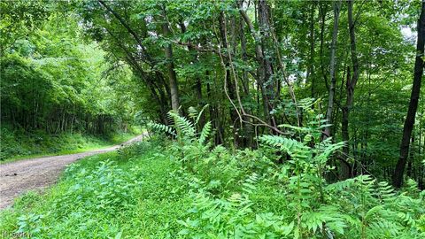 Tiny photo for Marlott Run Road, Newcomerstown, OH 43983 (MLS # 5221603)