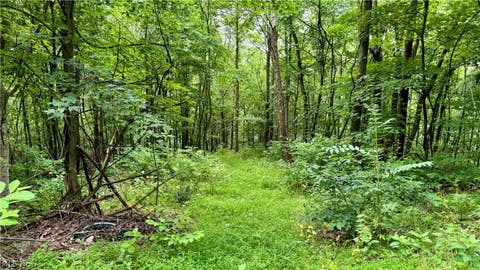 Tiny photo for Marlott Run Road, Newcomerstown, OH 43983 (MLS # 5221603)