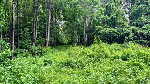 Tiny photo for Marlott Run Road, Newcomerstown, OH 43983 (MLS # 5221603)
