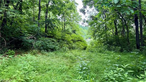 Tiny photo for Marlott Run Road, Newcomerstown, OH 43983 (MLS # 5221603)