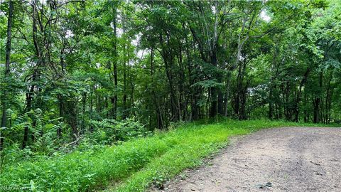 Tiny photo for Marlott Run Road, Newcomerstown, OH 43983 (MLS # 5221603)