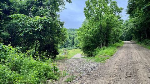 Tiny photo for Marlott Run Road, Newcomerstown, OH 43983 (MLS # 5221603)